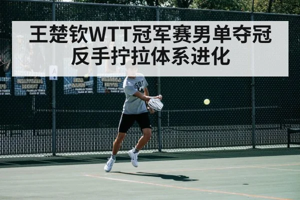 王楚钦WTT冠军赛男单夺冠反手拧拉体系进化